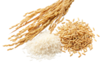 rice-removebg-preview rice-removebg-preview