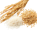 rice-removebg-preview rice-removebg-preview