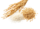rice-removebg-preview rice-removebg-preview